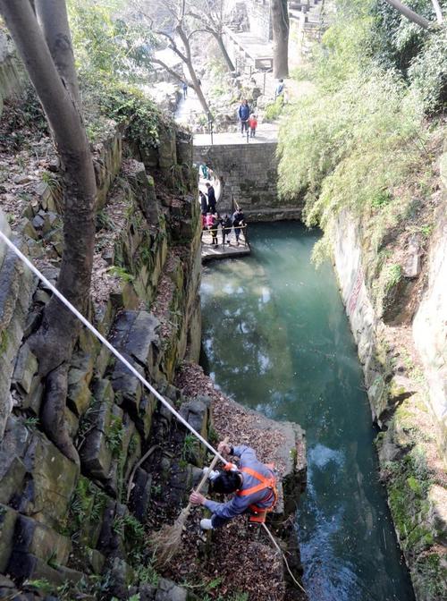 蜘蛛池建设多少钱?2025年最新报价与成本解析