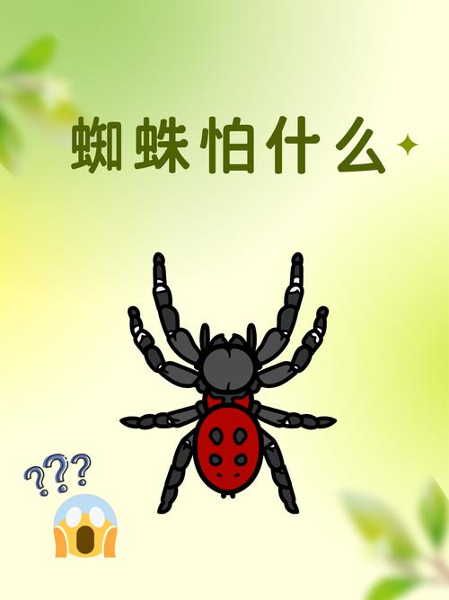 蜘蛛池最怕什么虫?揭秘让百万蜘蛛瞬间“团灭”的隐形杀手——线虫