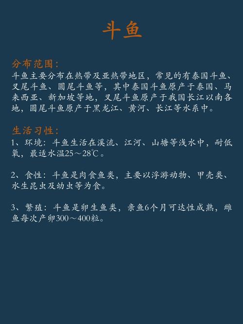 斗鱼下载官方正版2025最新版 - 免费看直播、开黑神器