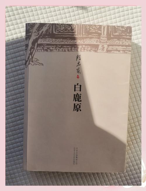 XP系统纯净版下载 原版精简稳定 经典老系统高速安装