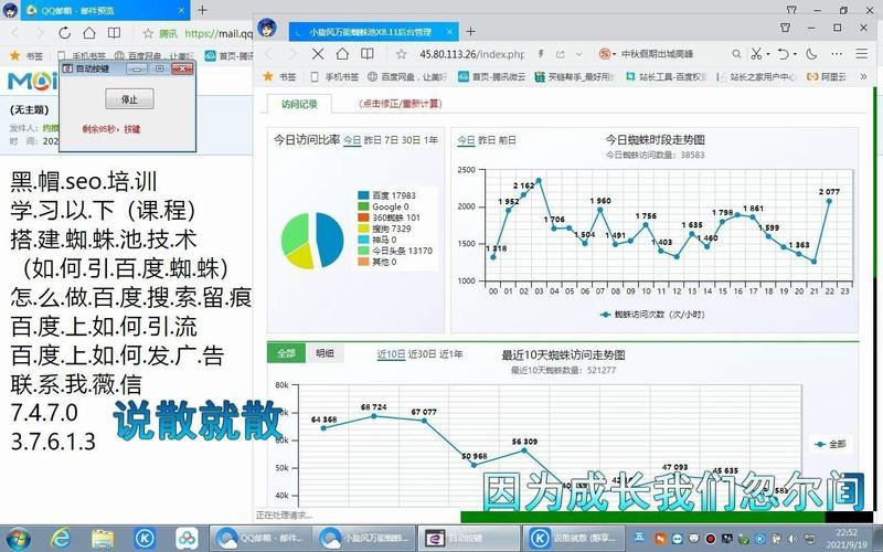 搜狗SEO蜘蛛池推广排名实战解析:如何快速提升网站权重与曝光