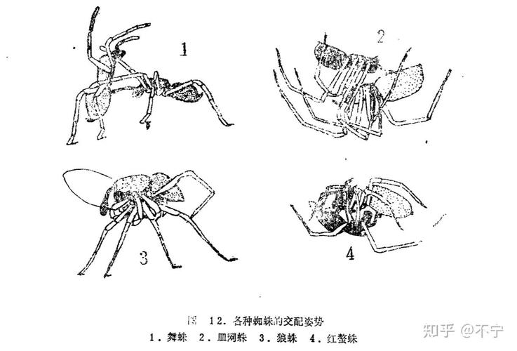 百度蜘蛛繁殖池疑似大规模泄露:SEO黑产链条再引关注