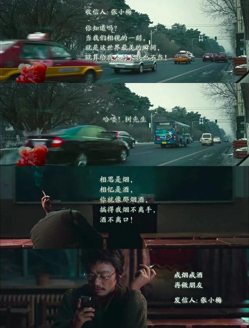 树先生下载 - 高清免费在线观看及资源获取