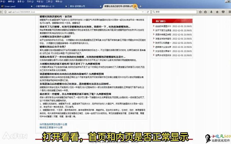 小旋风蜘蛛池教程视频:从零搭建高效蜘蛛池实战指南