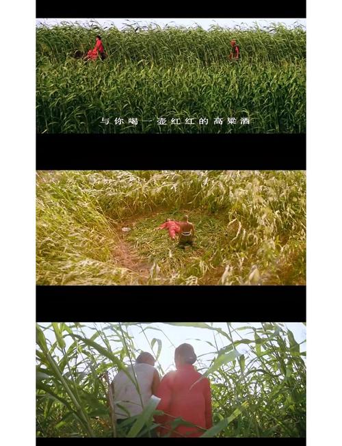 红高粱电影高清下载 | 张艺谋经典作品在线观看