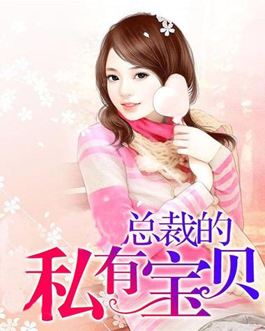 总裁的私有宝贝txt下载 | 全文完整版免费在线阅读