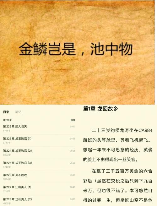 金鳞岂是池中物txt下载 | 经典小说全本资源分享
