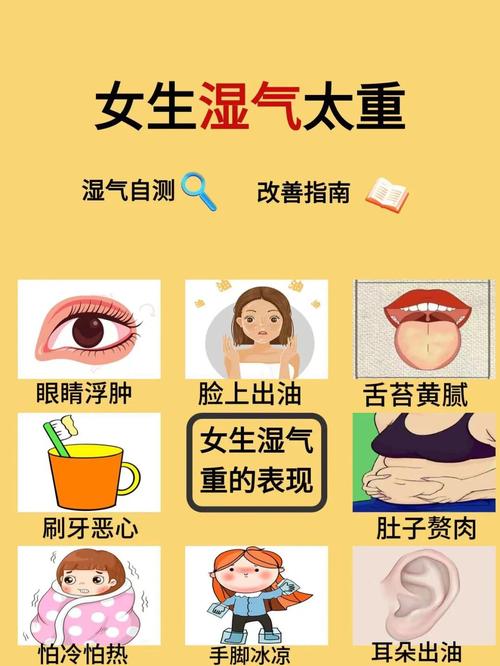 全球首项女性湿度机制研究：神经血管互动如何主导身体反应
