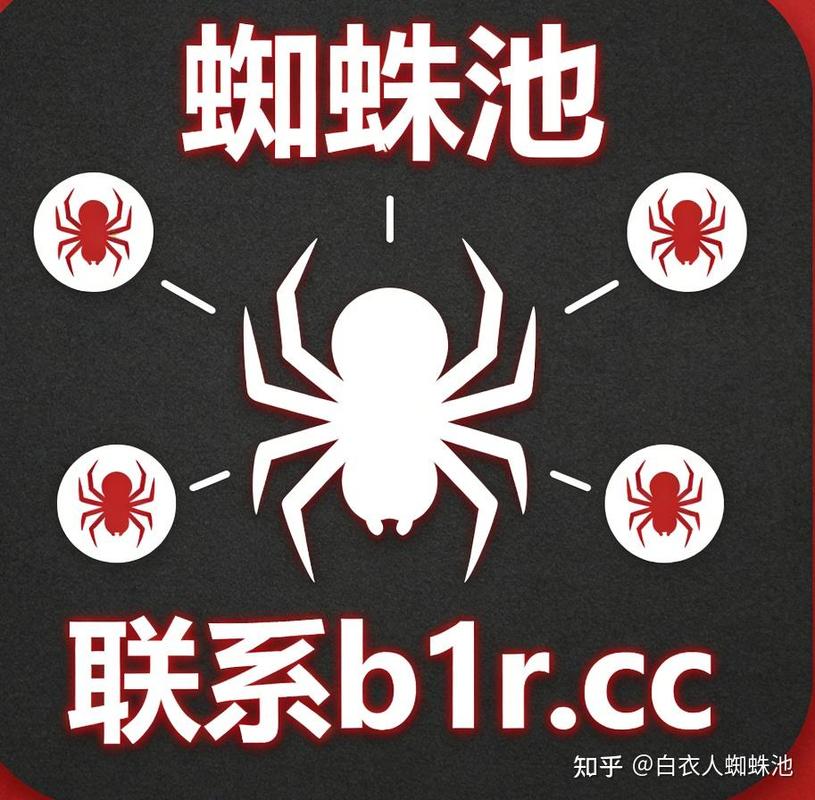 新人如何入手蜘蛛池?2026最新入门指南与实战避坑技巧