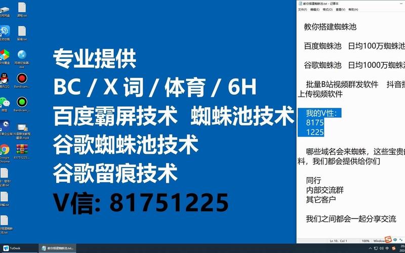 蜘蛛池引蜘蛛视频教程：从零掌握高效引蜘蛛技术，快速提升网站收录