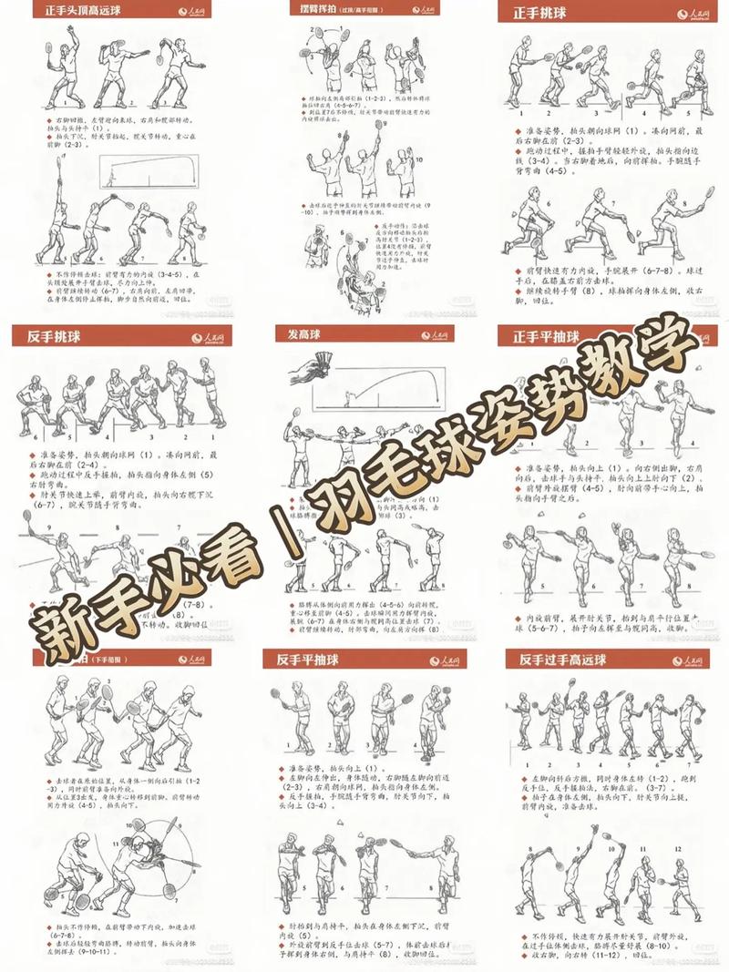 羽毛球教学视频下载 | 零基础到高手进阶教程