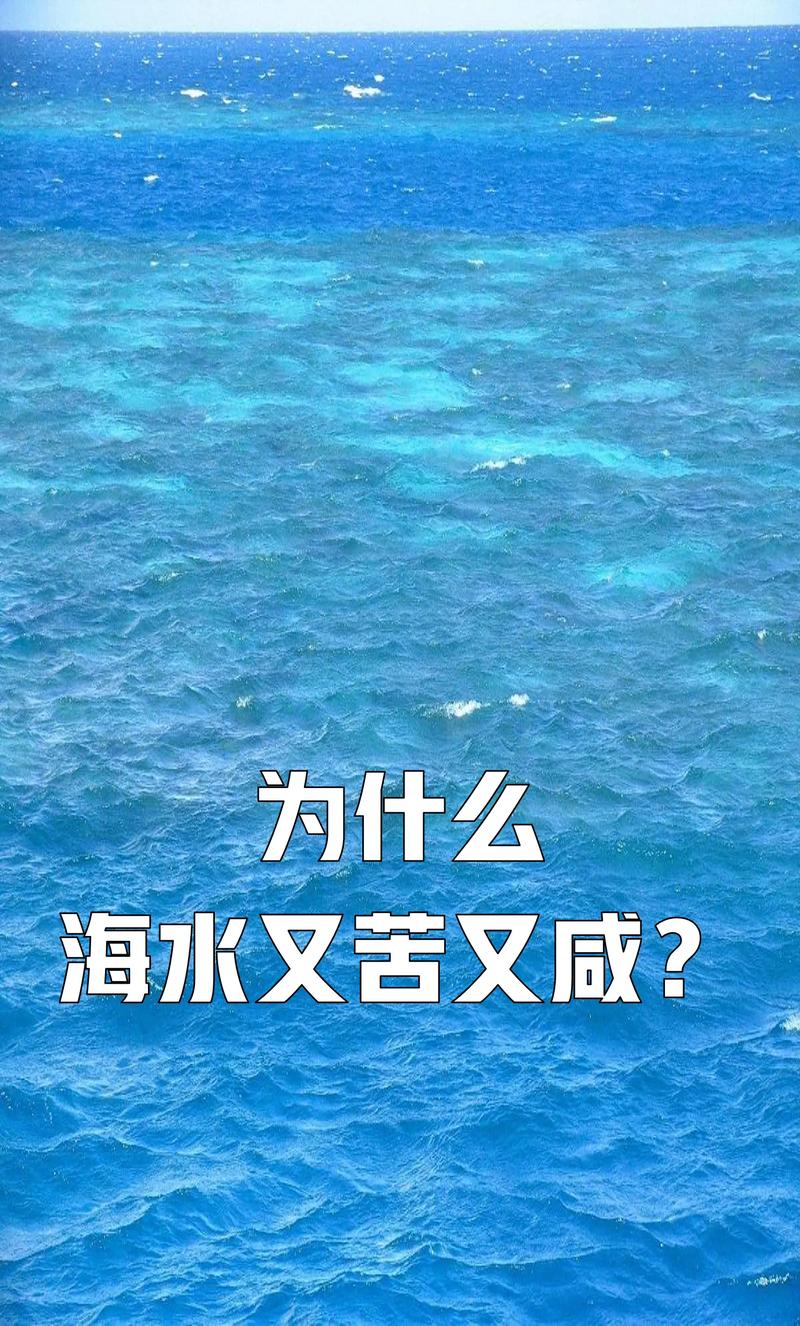 全球海洋盐度之谜：陆源矿物质亿万年汇入所致