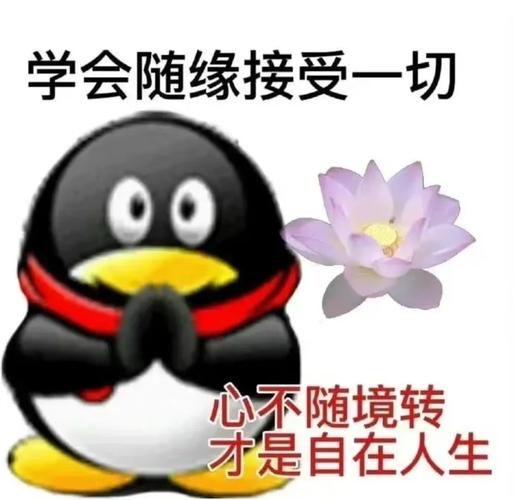 QQ表情包大全下载 - 海量搞笑动态表情包免费获取