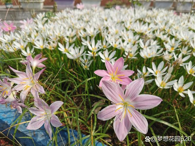 通达信免费软件下载-专业股票行情分析软件官方免费版