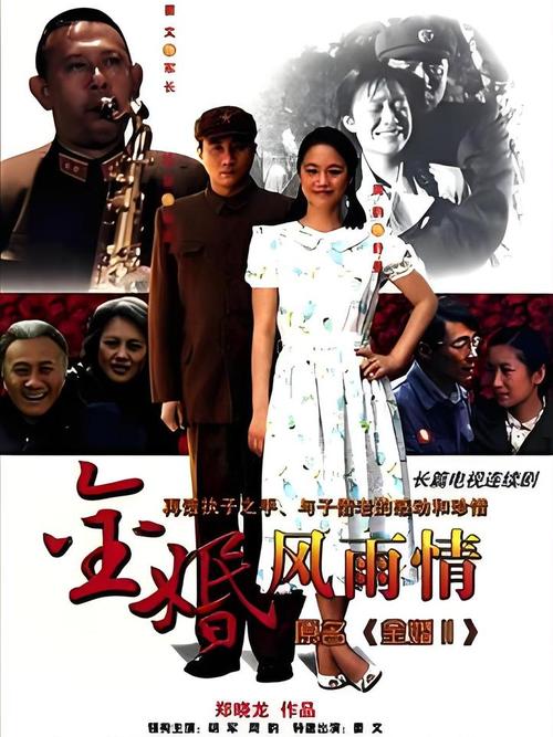 金婚风雨情高清下载，经典年代剧全集在线观看