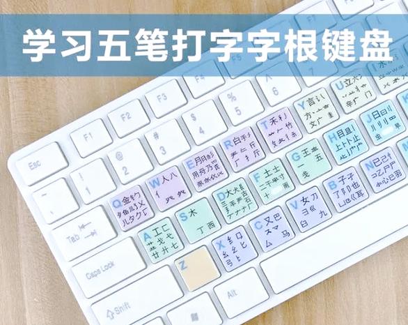 QQ五笔输入法2014官方下载_经典版五笔输入软件免费安装