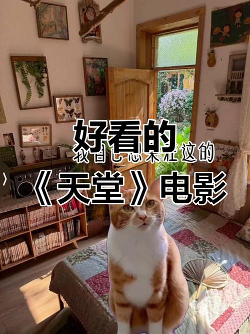 电影天堂迅雷下载_最新高清电影免费迅雷下载_电影天堂