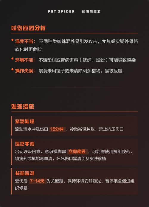 蜘蛛池对网站有伤害吗?揭秘黑帽SEO背后的风险与代价