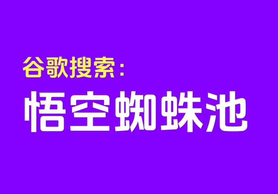 甘肃神马蜘蛛池出租:助力网站快速收录,提升SEO排名新选择