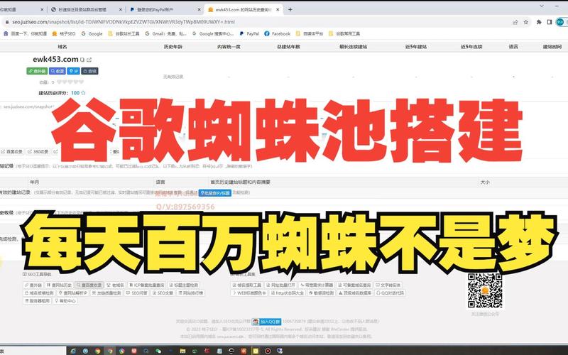 “黑帽蜘蛛池培训”乱象调查:起底流量黑产背后的速成骗局