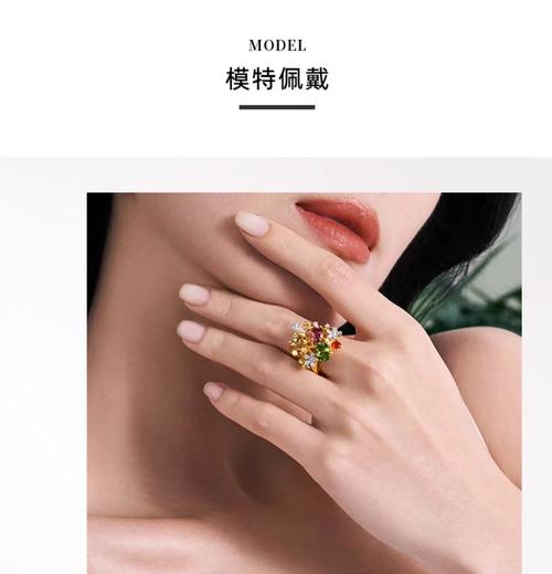 农夫戒指txt下载|经典奇幻小说全文免费下载