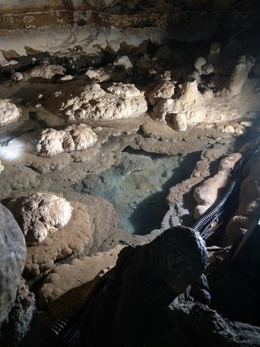 宝塔蜘蛛池助力网站收录效率飙升,站长圈掀起新一轮SEO优化热潮