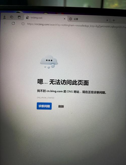 阿里蜘蛛池DNS解析错误频发,站长圈炸锅了