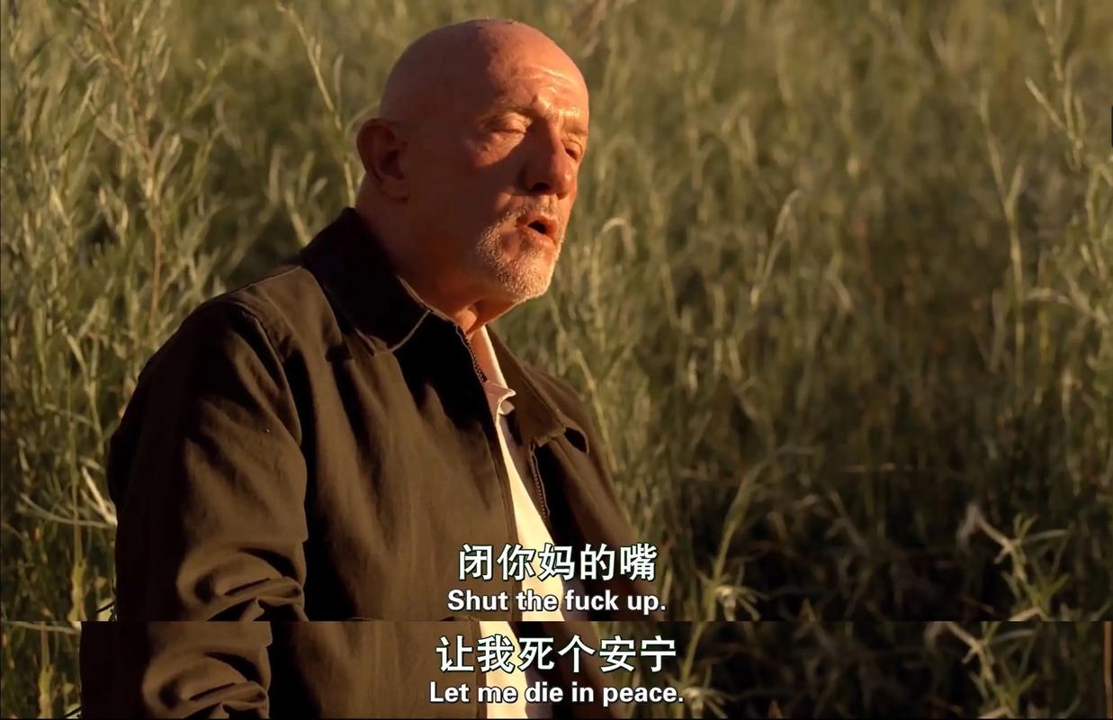 纯净版XP系统下载_原版精简稳定_免激活安装版