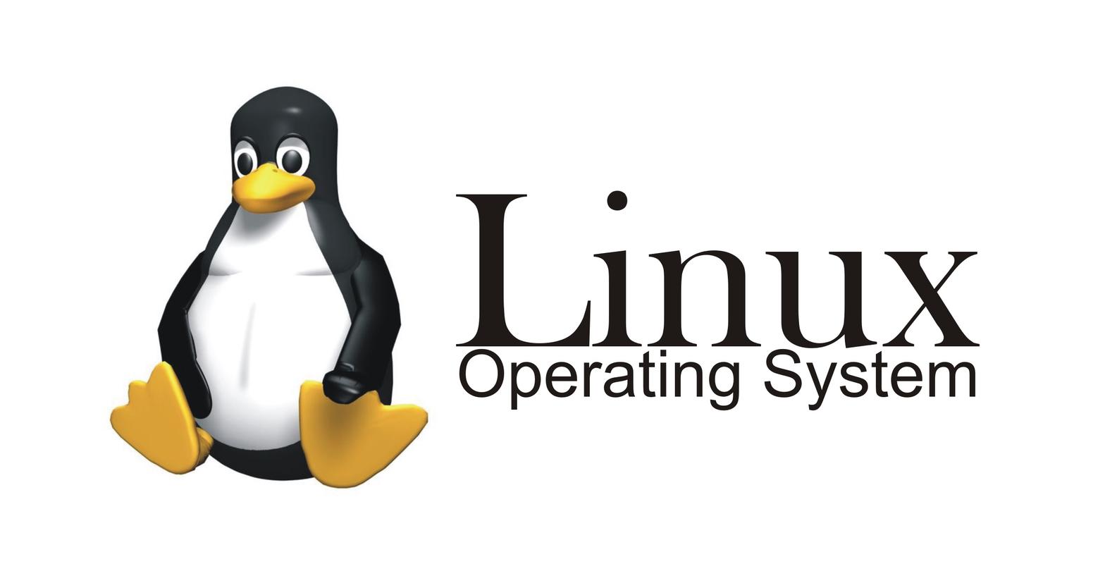 Linux下载必备:高效安全的开源操作系统获取指南