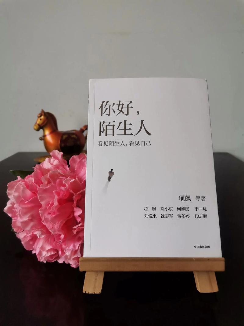 你好陌生人APP下载 - 官方正版免费安装
