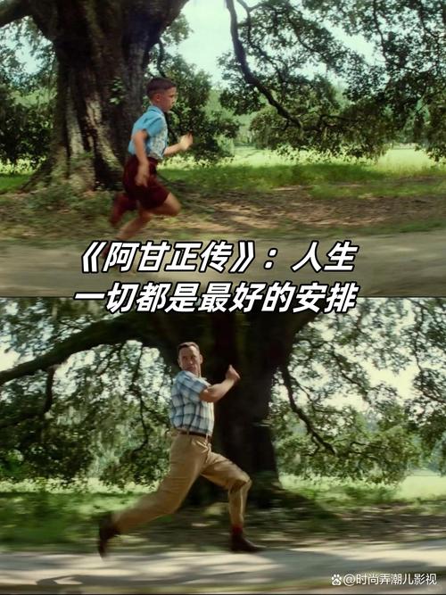 阿甘正传高清下载 | 中英字幕4K完整版