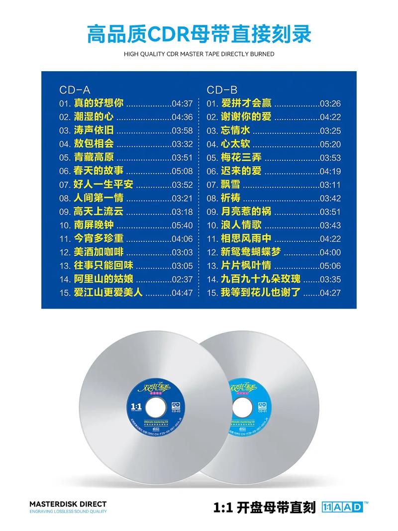 双电子琴音乐下载 | 经典纯音乐合集高清无损音质