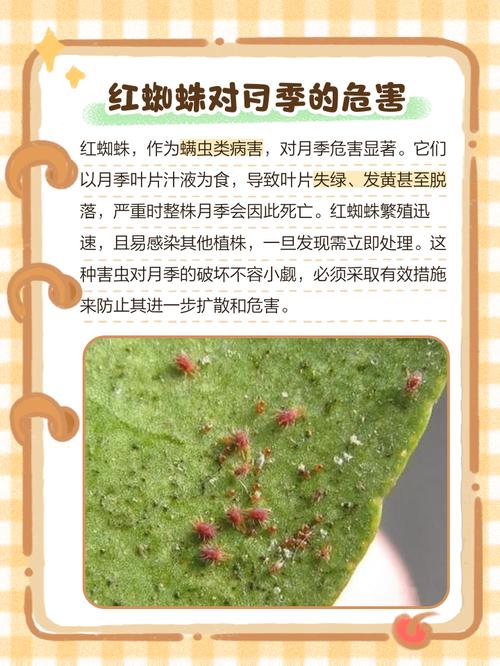 小霸王蜘蛛池后台测试：新闻标题生成效率与稳定性全面实测