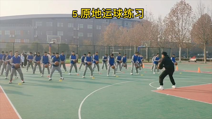 篮球教学视频下载 | 零基础到高手实战技巧合集