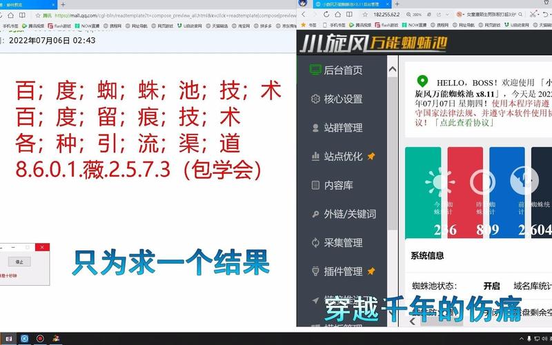 蜘蛛池链接收录时间揭秘：放池后多久能被搜索引擎抓取？