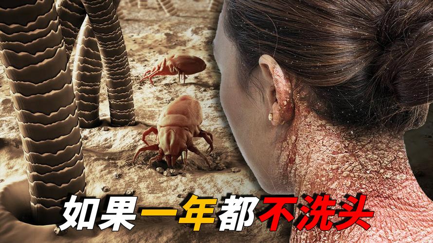 月满中秋 家国同庆 各地精彩民俗活动共庆佳节