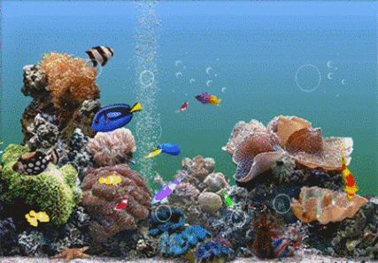水族馆动态屏保下载,高清海底世界手机电脑桌面壁纸