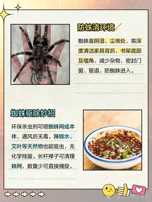 蜘蛛池“空巢”危机:没有蜘蛛爬行,SEO优化该如何破局?
