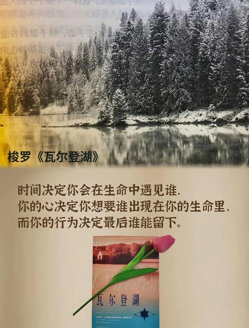瓦尔登湖txt下载|梭罗经典名著高清电子书