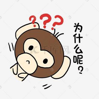 “为什么呢”走红网络，全民追问成新梗