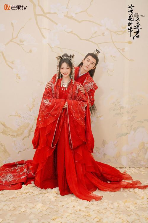 少年包青天1下载的相关介绍