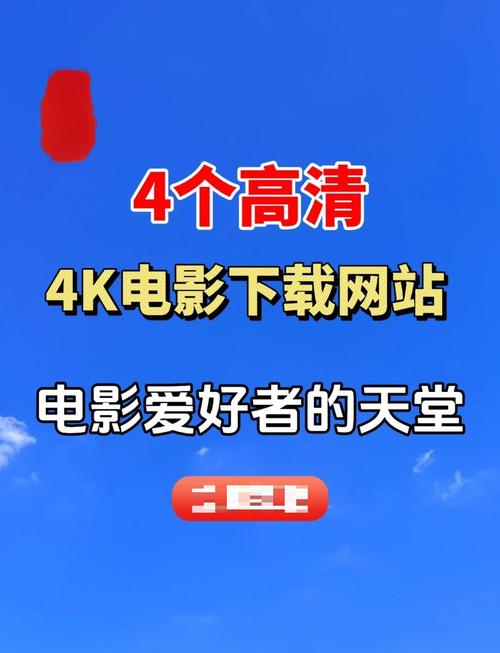 Office 2021/2019/2016官方正版下载 | 快速安装激活指南