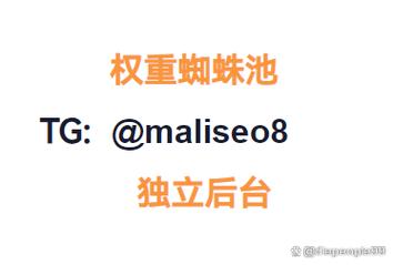 B2B蜘蛛池赋能企业获客新突破,智能索引技术引领行业变革