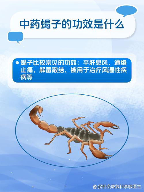 蜘蛛池操作视频教程：从零搭建到高效引流的完整实战指南