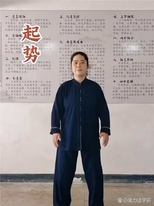 太极拳教学视频下载 | 零基础入门到精通教程