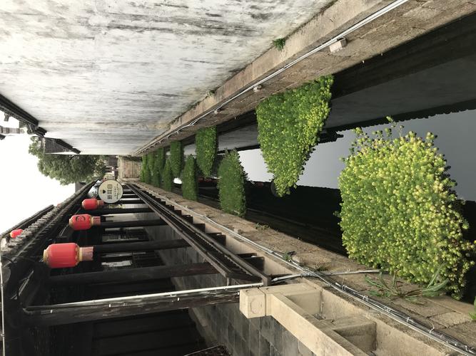 天津头条蜘蛛池:揭秘背后的流量操控与风险隐患