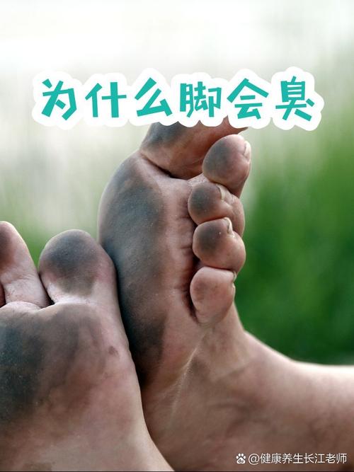 杨臭脚引热议,科学揭秘背后缘由