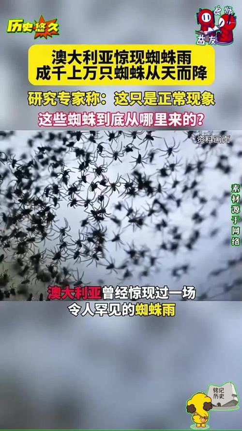 1. 刚刚，十万条新闻同时上线，背后真相令人震惊 2. 一天生成十万条新闻标题，蜘蛛池到底有多疯狂？ 3. 蜘蛛池日推十万新闻，搜索引擎还扛得住吗？ 4. 揭秘蜘蛛池：一天十万条新闻是如何炼成的 5. 十万新闻标题一夜霸屏，蜘蛛池操作内幕曝光 6. 蜘蛛池日发十万新闻，是技术奇迹还是搜索灾难？ 7. 一天十万条新闻轰炸，蜘蛛池正在改写搜索规则 8. 蜘蛛池疯狂输出：单日十万新闻标题的背后逻辑 9. 十万新闻标题瞬间收录，蜘蛛池到底用了什么手段？ 10. 蜘蛛池一天十万新闻，SEO江湖再掀腥风血雨