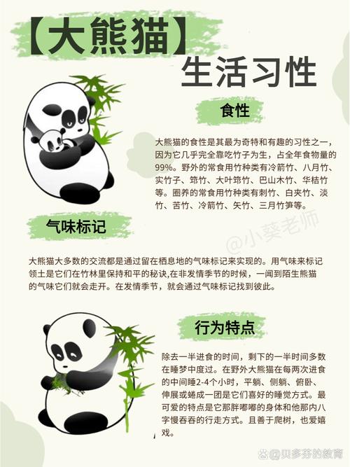 国宝熊猫:八百万年活化石,中国独有生态名片