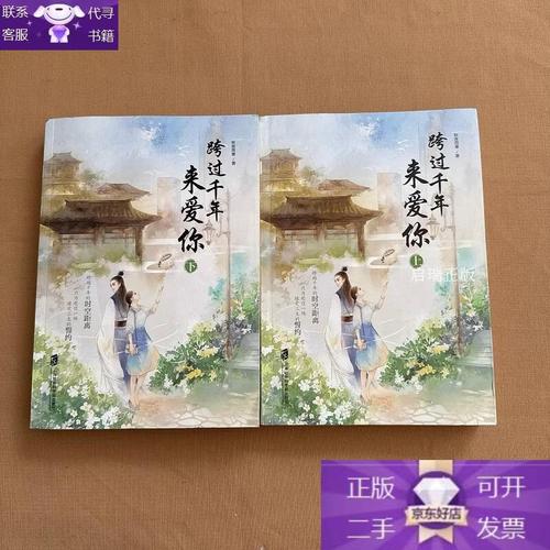 跨过千年来爱你txt下载|全文免费阅读